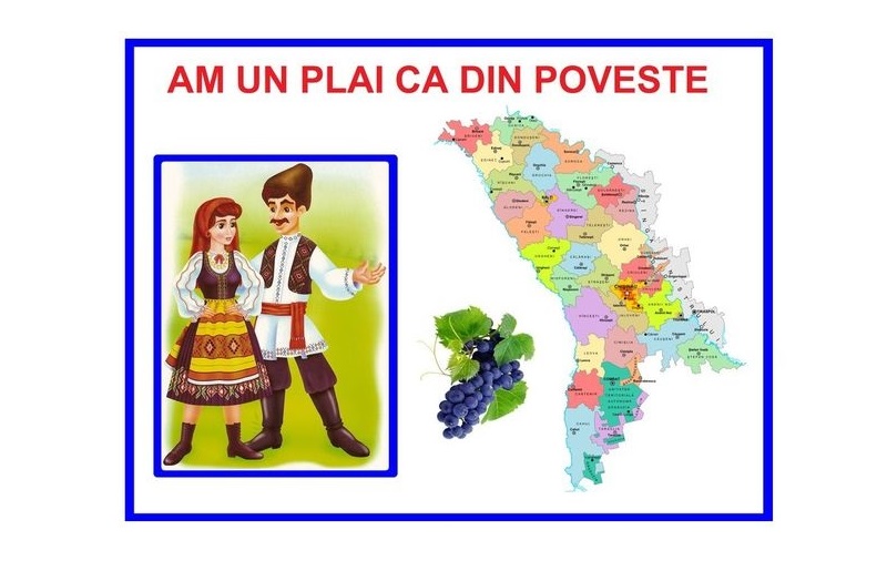 D8-36 Am un plai ca din poveste (A3)