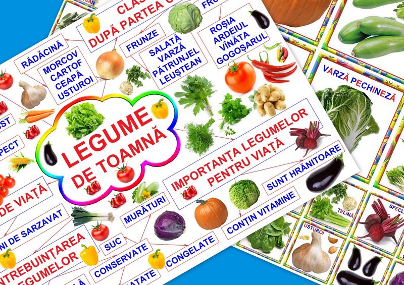 Legume de toamnă PT-37
