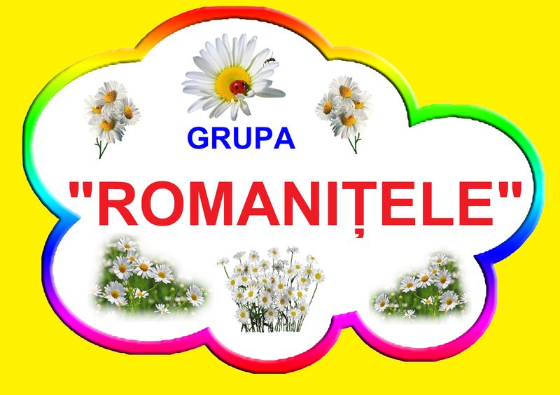 D9-36.1 Romaniţele (A3)