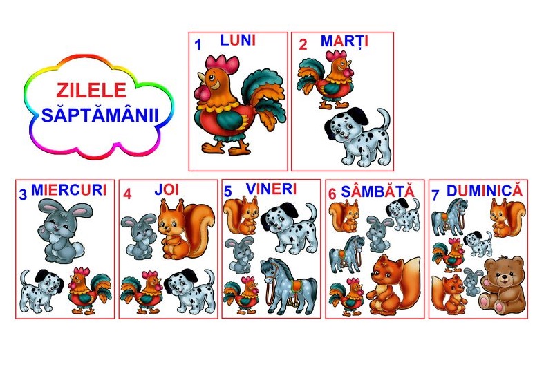 D11-5.1 Zilele săptămânii (A4)