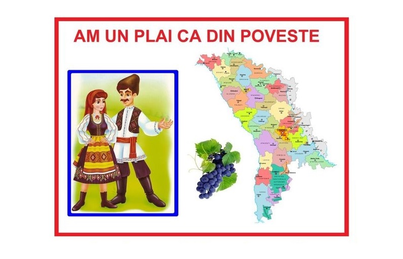 D8-34 Am un plai ca din poveste (A4)