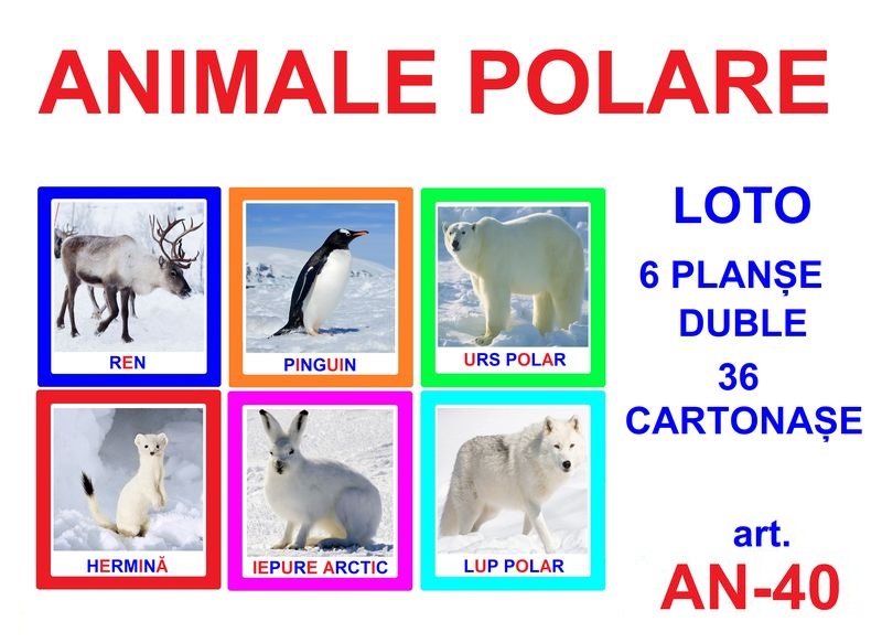 AN-40 Joc Loto Animale polare