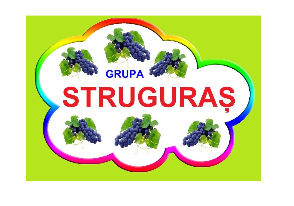 D9-41.2 Struguraş (A4)