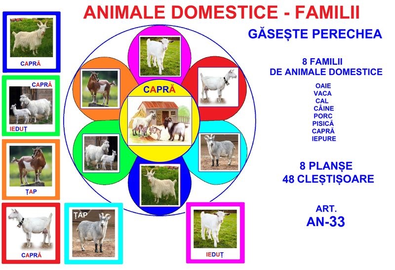 AN-33 Joc cu cleşte Animale domestice