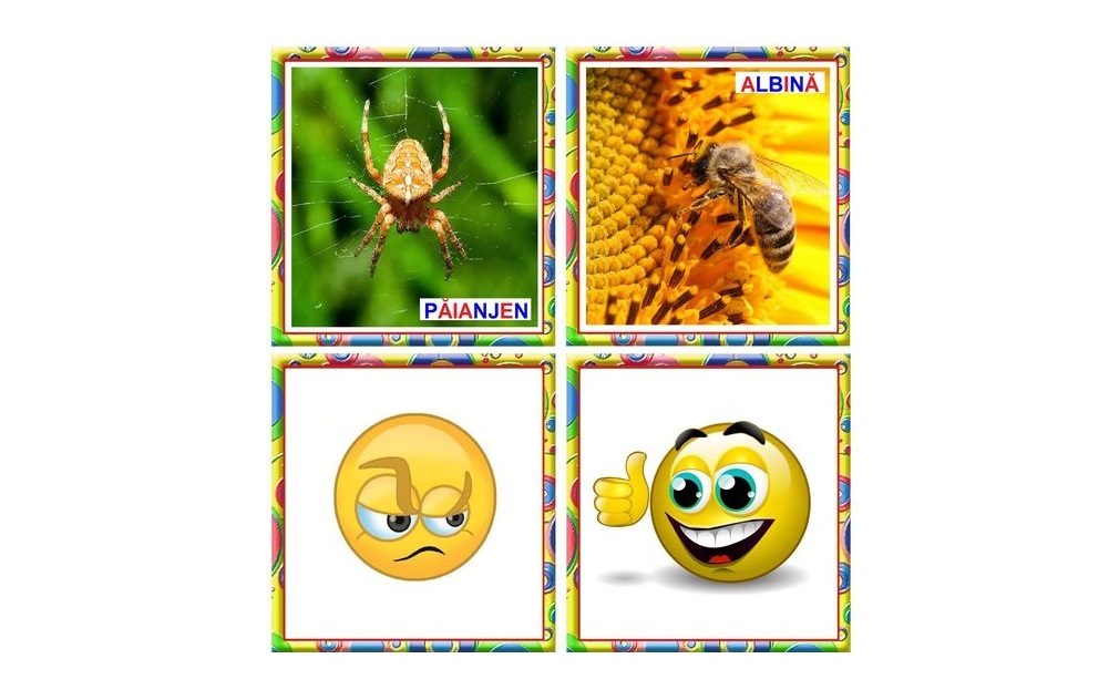 IN-7 Joc Loto Insecte