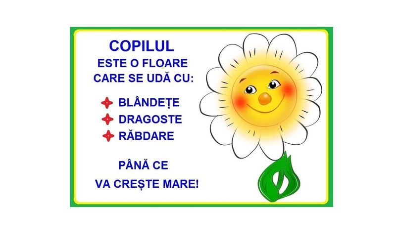 D17-C88 Citat (A3 laminat)