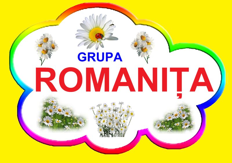 D9-35.1 Romaniţa (A3)