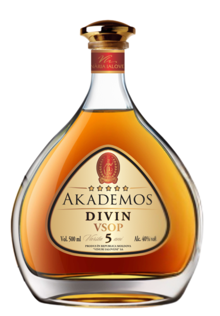 Ialoveni Akademos Divin 5 Ani