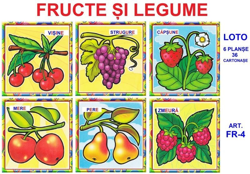 FR-4 Joc Loto Fructe şi legume -Loto