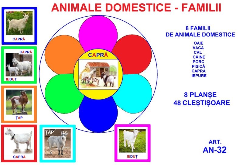 AN-32 Joc cu cleşte Animale domestice