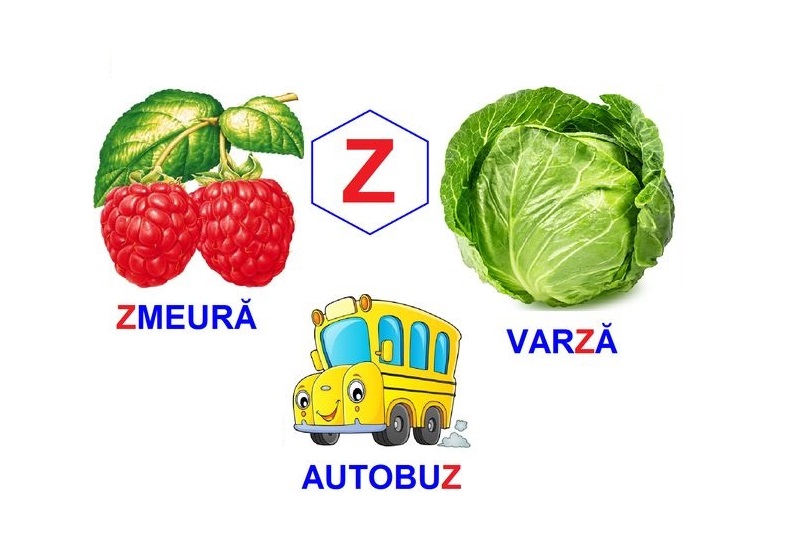 L-227 Loto Logopedie animată Sunetul Z