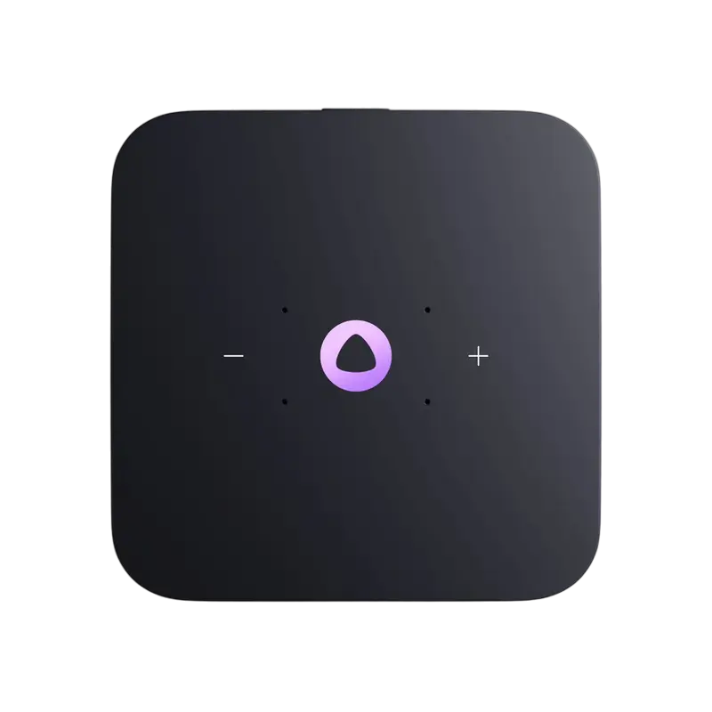 Difuzor Inteligent Yandex Station Midi YNDX-00054, YandexGPT, Zigbee, Grey