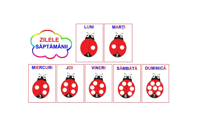 D11-13.1 Zilele săptămânii (A4)