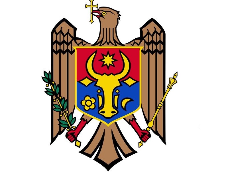 D8-22 Stema Republicii Moldova (A3)