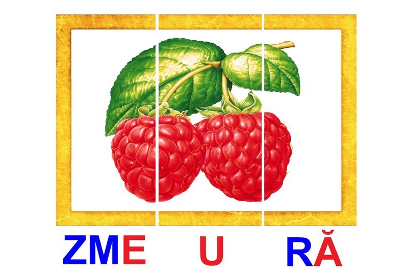 L-14 Puzzle silabic - Formăm cuvinte din silabe