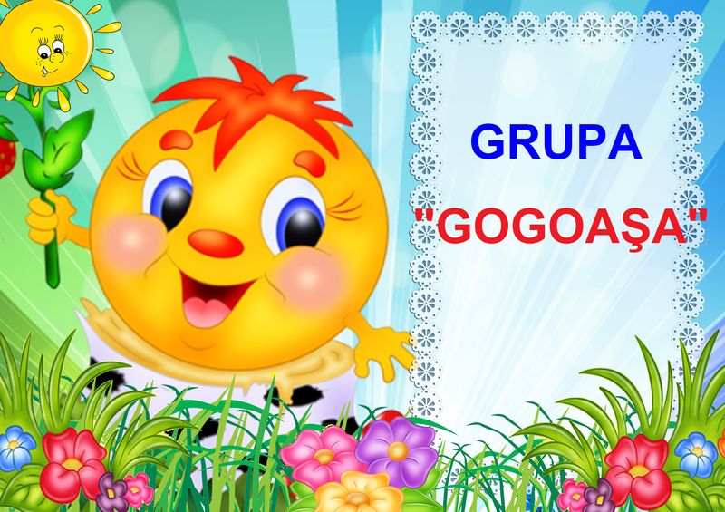 D9-31.1 Gogoaşa (A3)
