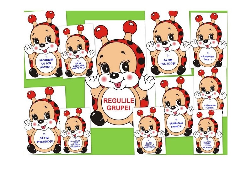 D7-6.2 Regulile grupei (A5)