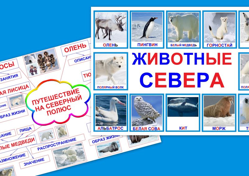 Путешествие на северный полюс art.PT-240