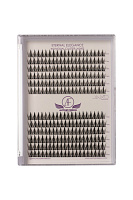 Gene False - Antonio Ferran Eternal Elegance - ANXO