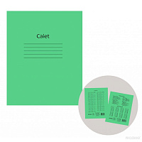 Caiet 12f coperta verde 10 buc  patrate/ linia mare/linie oblica
