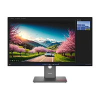32" Monitor Gaming Lenovo ThinkVision P32UD-40, IPS 3840x2160 4K UHD, Negru