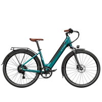 Bicicletă Electrică Fiido C11 Pro, Verde