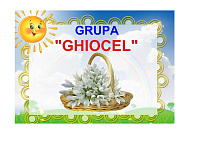 D9-24.1 Ghiocel (A3)