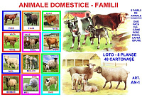 AN-1 Joc Loto Animale domestice