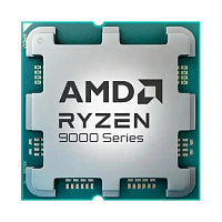 Procesor AMD Ryzen 9 9900X, AMD Radeon Graphics,  | Tray