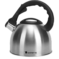 Ceainic Polaris Verde, 2,2L, Argintiu