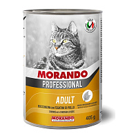 MORANDO bucati de conserve pentru pisici Professional Gatto Fegatini di Pollo ficat gaina 405g