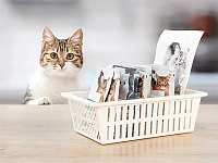 Container pentru hrana moale Lucky Pet 26.8X15X8.3cm cu separatoare