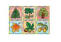 CO-1 Joc Loto Copaci şi flori (3+)
