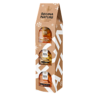 Set Miere ”Perfect Gift” 250g*3buc. (Miere De Salcâm Cu Alune De Pădure, Miere De Salcâm Cu Caise, Miere De Salcâm Cu Fagure) Regina Naturii