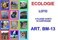BM-13 Joc Loto Ecologie