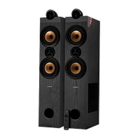 Sistem audio F&D T-70X, Negru