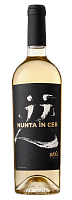 Atu Nunta in Cer