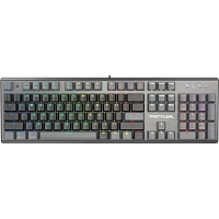 Tastatură A4Tech FS100, Cu fir, Stone Black