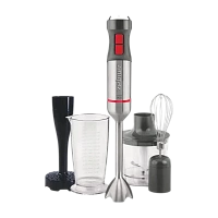 Blender de mână Zelmer ZHB4652, Gri