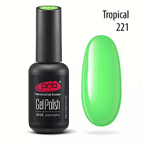 oja semipermanentă PNB 221, 8ml