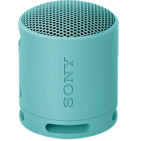 Boxă portabilă SONY XB100, Gri deschis