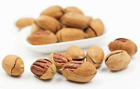 Pecan (in coaja) (per 100 gr)
