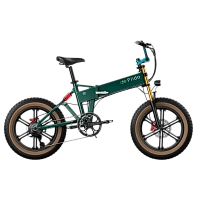 Bicicletă Electrică Fiido M1 Pro, Verde
