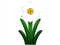 Aplicaţie 4D - Narcisă albă art.AP-13