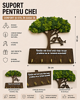 Suport pentru chei cu mușchi stabilizați