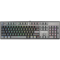 Tastatură A4Tech FS100, Cu fir, Stone Black