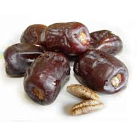 Curmale cu sîmbure (Mazafatti#1) (per 100 gr)