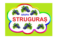 D9-41.1 Struguraş (A3)