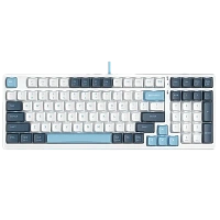 Tastatură A4Tech FS300, Cu fir, Panda Snowboarding
