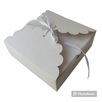 Cutii 20*20*7см